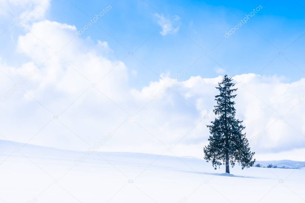 Beautiful outdoor nature landscape with alone christmass tree in