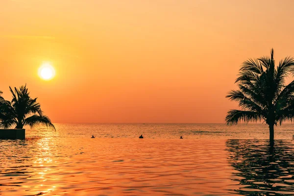 Gyönyörű táj kültéri kókusz pálmafa körül úszó — Stock Fotó