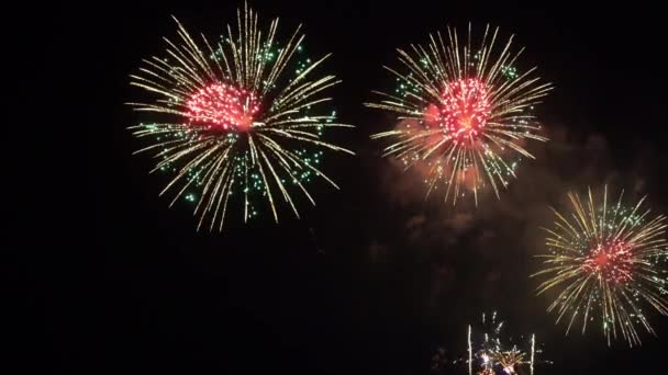 Közeli Felvétel Tűzijátékról Amint Felrobban Éjszakai Égen — Stock videók