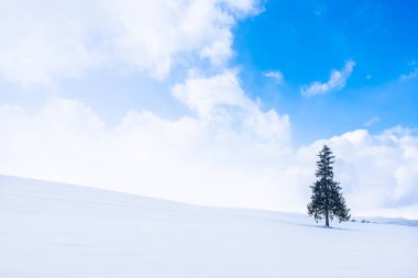 Güzel açık doğa manzara ile yalnız Sunni Noel ağacında