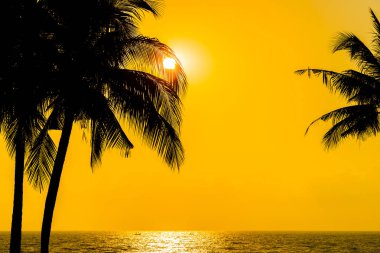 Güzel siluet Hindistan cevizi hurma ağacı gökyüzü neary deniz okyanus üzerinde olması