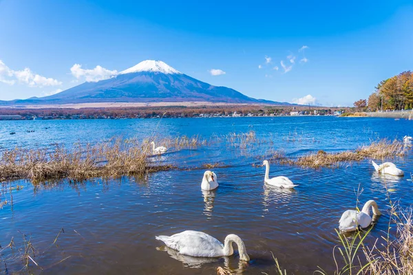 Bellissimo paesaggio di fuji di montagna intorno al lago yamanakako — Foto Stock
