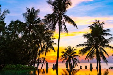 Yüzme havuzu güzel açık tropikal doğa manzara 