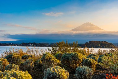 Dağ fuji ile akçaağaç yaprağı ağacın etrafında güzel manzara