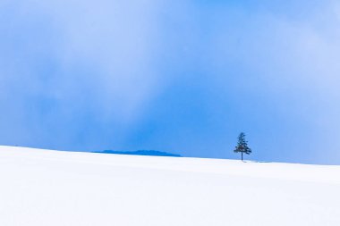 Güzel açık doğa manzara ile Noel ağacı kışın