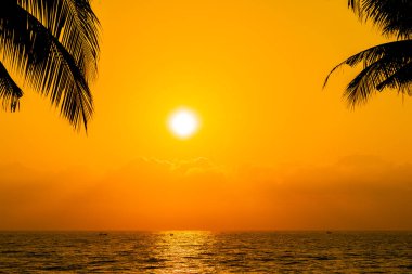 Güzel siluet Hindistan cevizi hurma ağacı gökyüzü neary deniz okyanus üzerinde olması