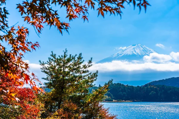 Dağ fuji ile akçaağaç yaprağı ağacın etrafında güzel manzara