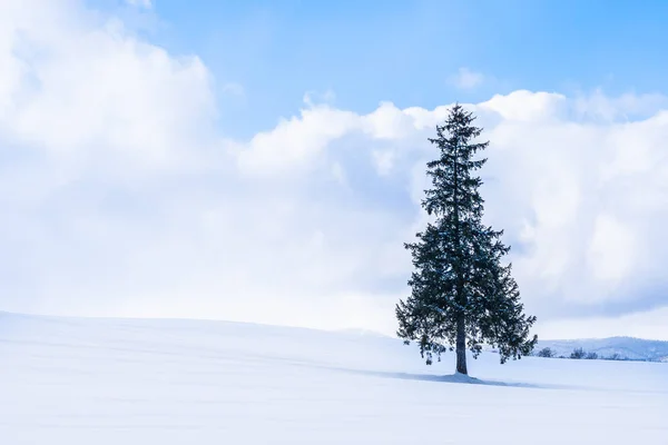 Gyönyörű szabadtéri természeti táj egyedül karácsonyi fa — Stock Fotó