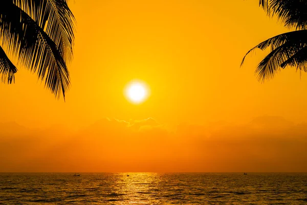 Beautiful Silhouette coconut palm tree on sky neary sea ocean be — Stock Photo, Image