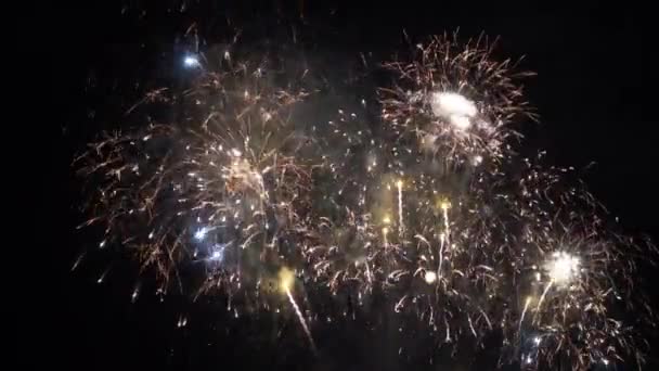 Close Upbeelden Van Vuurwerk Dat Ontploft Nachtelijke Hemel — Stockvideo