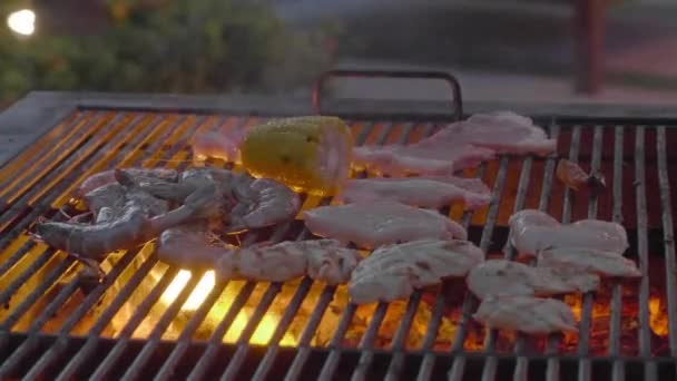 Close Upbeelden Van Garnalen Vlees Dat Roostert Grill — Stockvideo