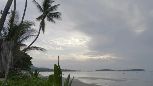 Imágenes Tranquilas Hermoso Mar Ondulado — Vídeos de Stock