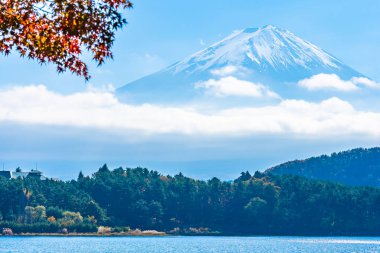 Dağ fuji ile akçaağaç yaprağı ağacın etrafında güzel manzara