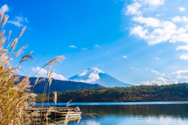 Dağ fuji ile akçaağaç yaprağı ağacın etrafında güzel manzara