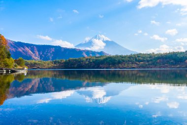Dağ fuji ile akçaağaç yaprağı ağacın etrafında güzel manzara