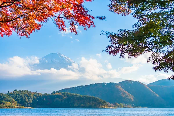 Schöne Landschaft des Berg-Fuji mit Ahornblatt-Baum herum — Stockfoto