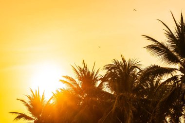 Güzel açık doğa gökyüzü ve gün batımı veya c çevresinde gündoğumu ile