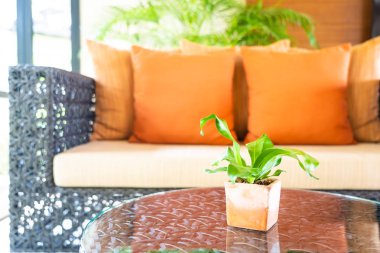 Oturma odasının iç tarafındaki kanepede rahat bir yastık.