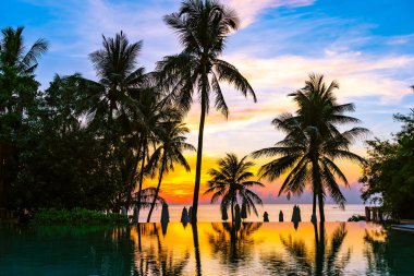 Yüzme havuzu güzel açık tropikal doğa manzara 