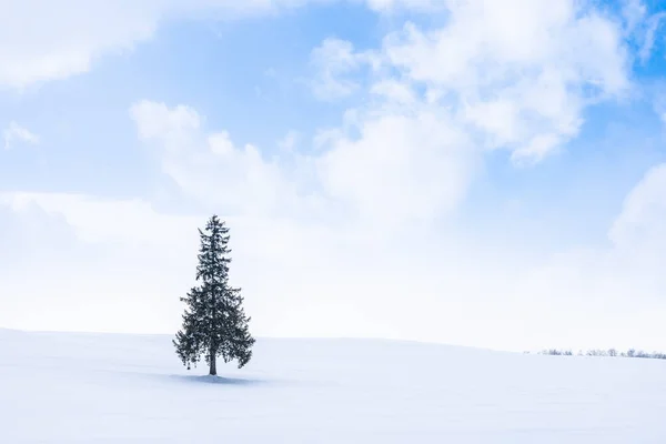 Güzel açık doğa manzara ile yalnız Sunni Noel ağacında — Stok fotoğraf