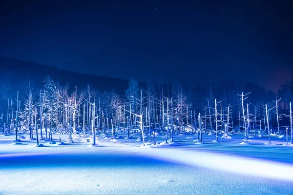 Beau paysage extérieur avec étang bleu rivière la nuit avec l — Photo