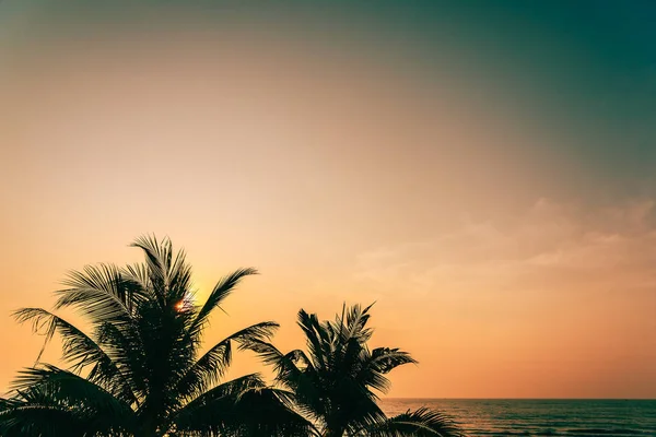Красива природа на відкритому повітрі з кокосовим листом зі сходу або заходу сонця — стокове фото