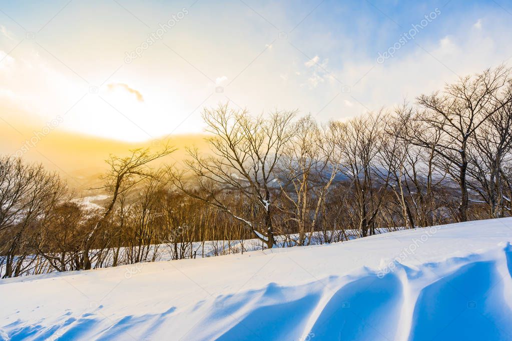 Beautiful landscape with mountain around tree in snow winter sea