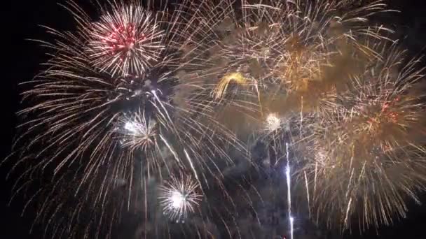 Nahaufnahmen Von Feuerwerk Das Nachthimmel Explodiert — Stockvideo