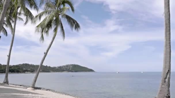 Imagens Tranquilas Belo Mar Ondulado — Vídeo de Stock