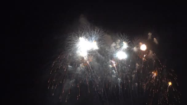 Close Footage Fireworks Exploding Night Sky — Stock Video