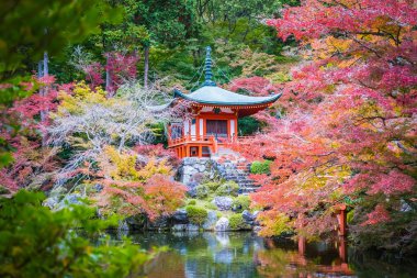 Güzel Daigoji Tapınağı ile renkli ağaç ve yaprak sonbahar s
