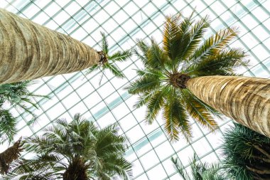 Çiçek kubbe Bahçesi ve greenhous bina güzel mimari