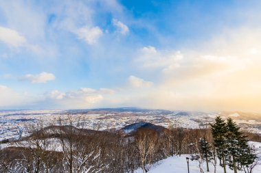 Dağın etrafından kar kış deniz ağacında ile güzel manzara