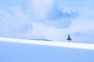 Güzel açık doğa manzara ile Noel ağacı kışın