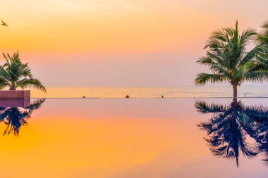 Swimmi etrafında hindistan cevizi palmiye ağacı ile güzel manzara açık