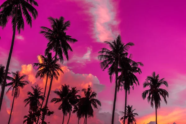 Buiten uitzicht met tropische kokosnoot palm tree op de sk — Stockfoto