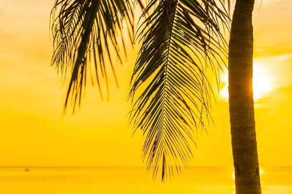 코코와 바다 바다 해변의 아름다운 야외 열대 풍경 — 스톡 사진