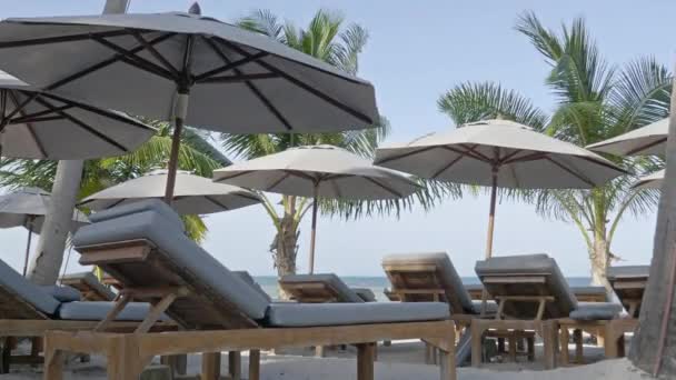 Filmaufnahmen Vom Strand Mit Schönen Palmen Und Sonnenliegen Sonnigen Tagen — Stockvideo