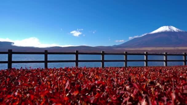 Scenic Footage Beautiful Mountain Fuji Japan — Stock Video