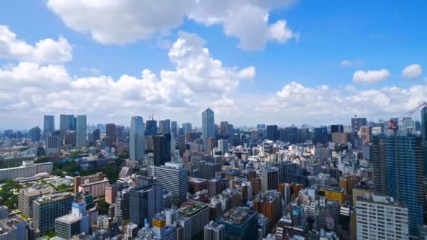 Szenische Aufnahmen Moderner Megalopolis Asiatischer Stadt — Stockvideo