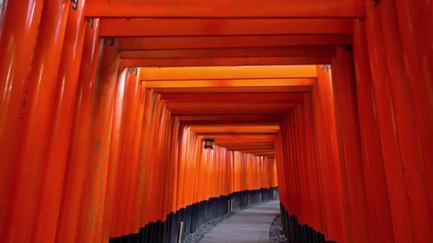 Cuplikan Pemandangan Gerbang Tori Sekitar Kuil Fushimi Inari Kyoto Jepang — Stok Video
