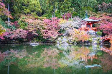 Güzel Daigoji Tapınağı ile renkli ağaç ve yaprak sonbahar s