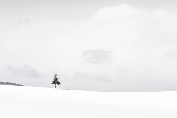 Красивый природный ландшафт с рождественской елкой зимой — стоковое фото