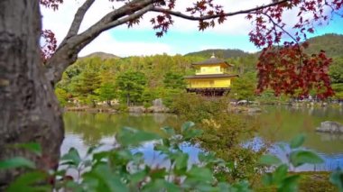 güzel geleneksel Japon pagoda doğal görüntüleri