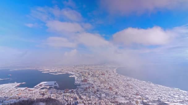 Imágenes Aéreas Escénicas Hermosa Nieve Cubierta Hokkaido Japón — Vídeos de Stock