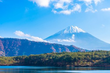 Dağ fuji ile akçaağaç yaprağı ağacın etrafında güzel manzara
