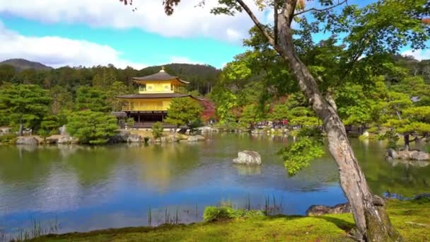 Güzel Geleneksel Japon Pagoda Doğal Görüntüleri — Stok video