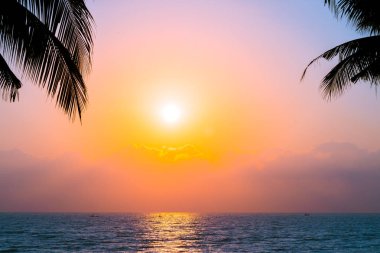 Güzel siluet Hindistan cevizi hurma ağacı gökyüzü neary deniz okyanus üzerinde olması