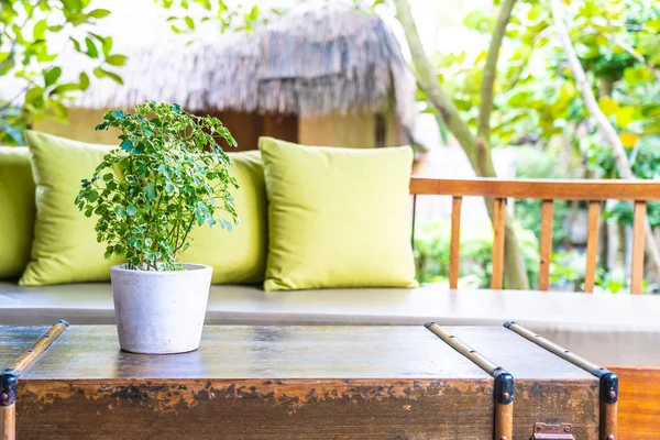 Vase plante sur la décoration de table avec oreiller sur chaise canapé — Photo