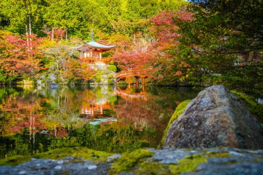 Güzel Daigoji Tapınağı ile renkli ağaç ve yaprak sonbahar s